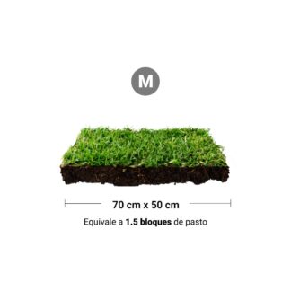 Repuesto,recambio de pasto natural para sanitarios de mascotas medidas medianas