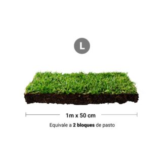 Repuesto,recambio de pasto natural para sanitarios de mascotas medidas medianas
