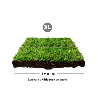Repuesto,recambio de pasto natural para sanitarios de mascotas medidas grandes