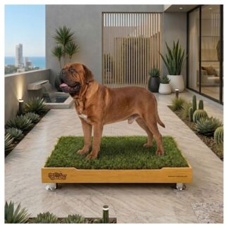 Sanitario de pasto natural con repuestos intercambiables base fija y tierra para perros grande de Petit Garden