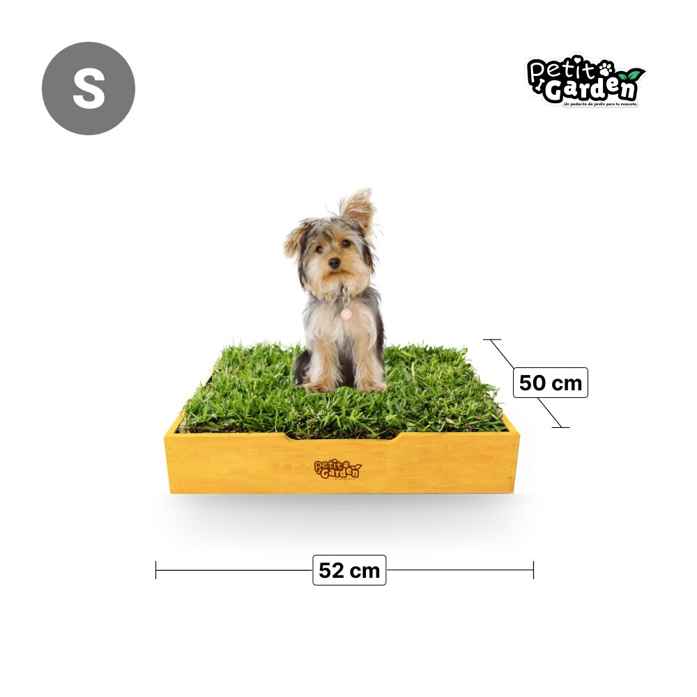 Petit garden dSanitario de past natural con base co drenaje talla S