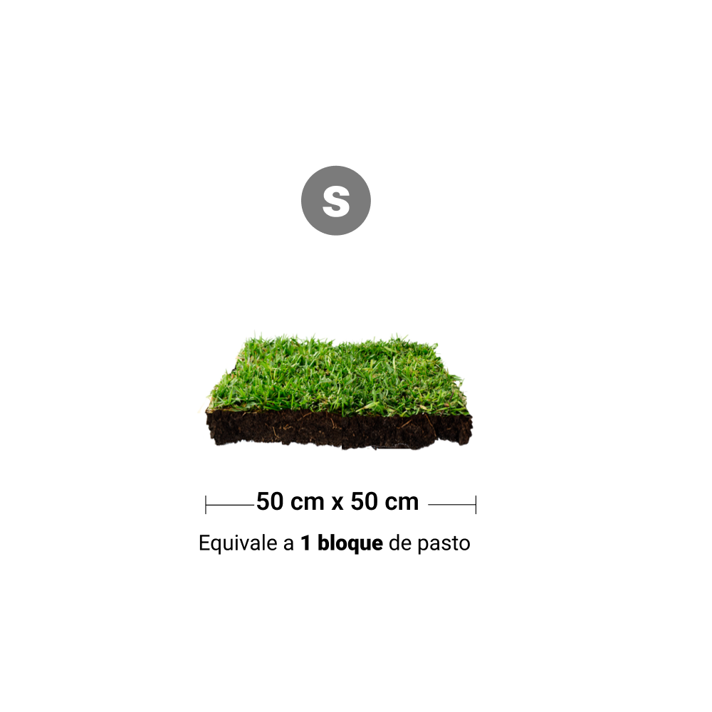 Repuesto,recambio de pasto natural para sanitarios de mascotas medidas pequeñas