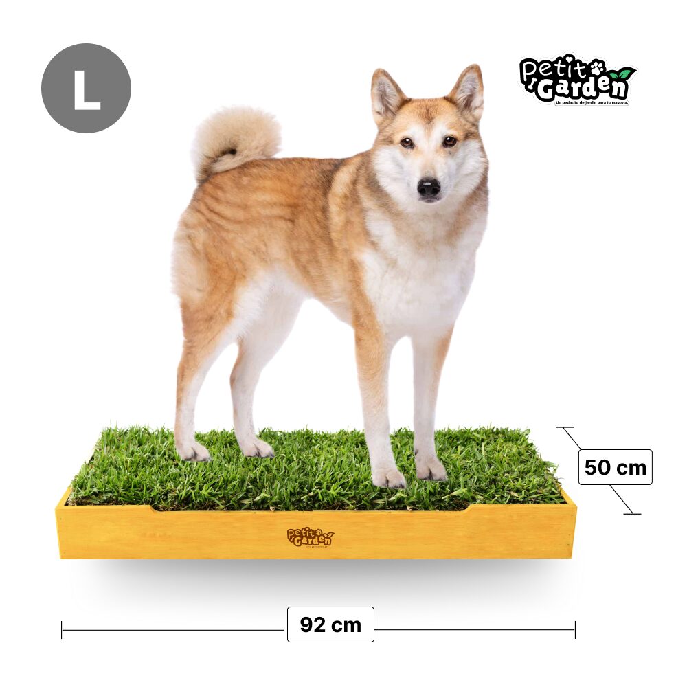 Petit garden dSanitario de past natural con base co drenaje talla L