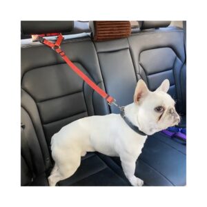 cinturon para carro para perros