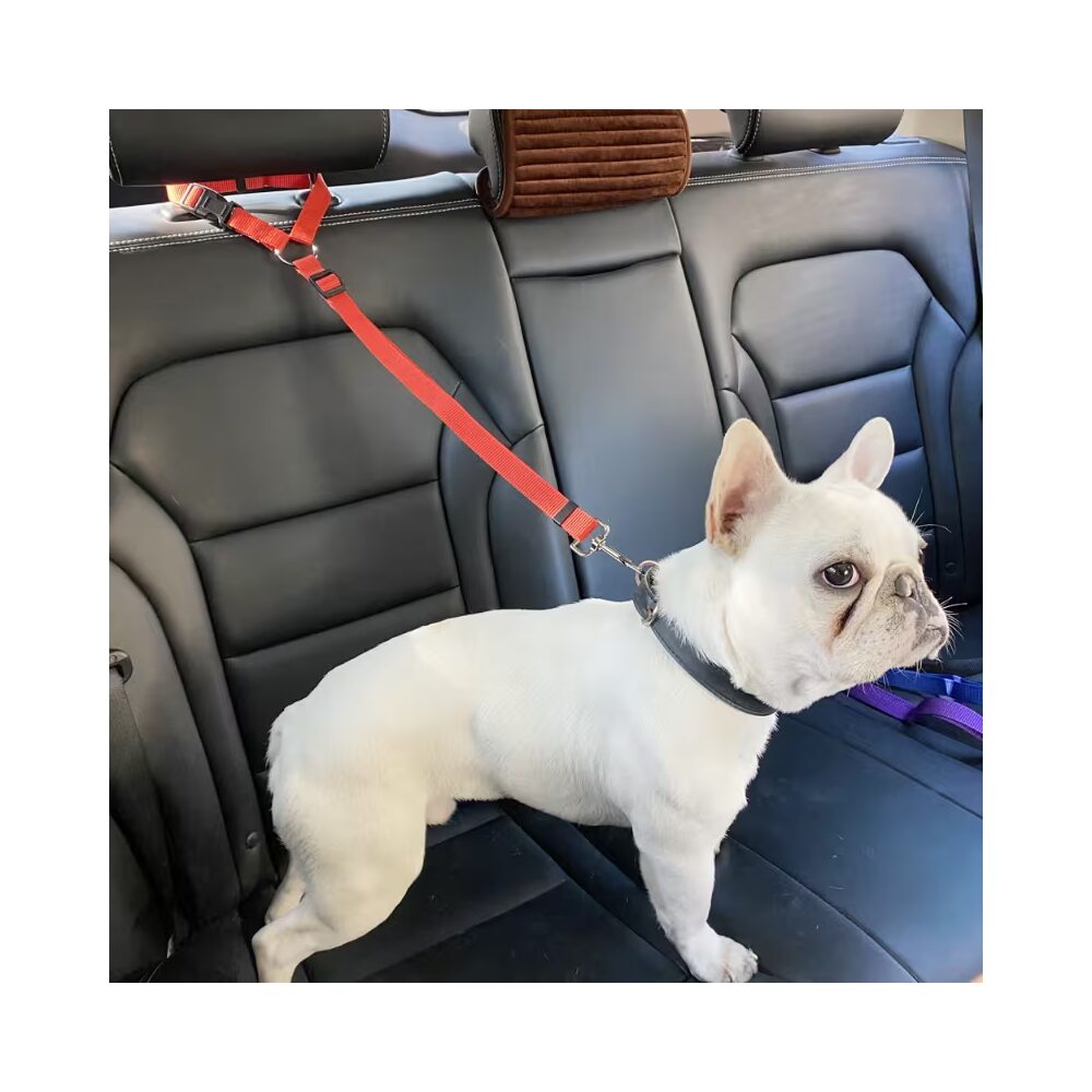 cinturon para carro para perros
