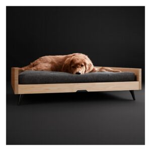 Cama para perro elevada