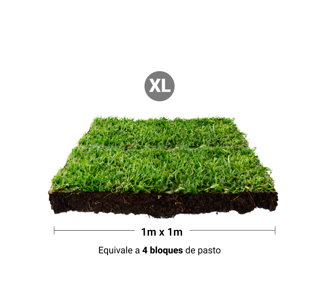 Repuesto,recambio de pasto natural para sanitarios de mascotas medidas grandes