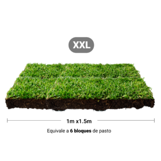 Repuesto,recambio de pasto natural para sanitarios de mascotas medidas extra grandes