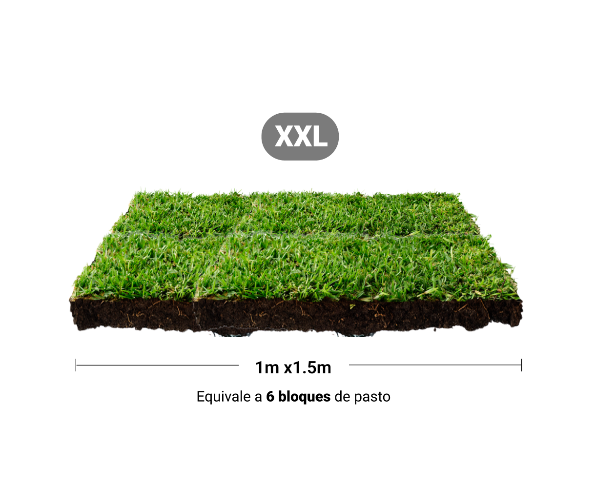 Repuesto,recambio de pasto natural para sanitarios de mascotas medidas extra grandes