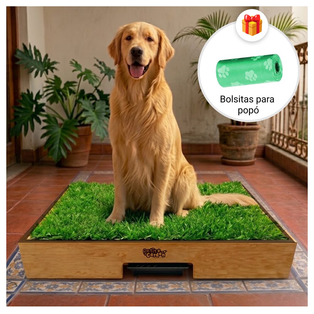 Sanitario de pasto natural con drenaje para perros grandes de Petit Garden mas bolsas de regalo para recoger la popo