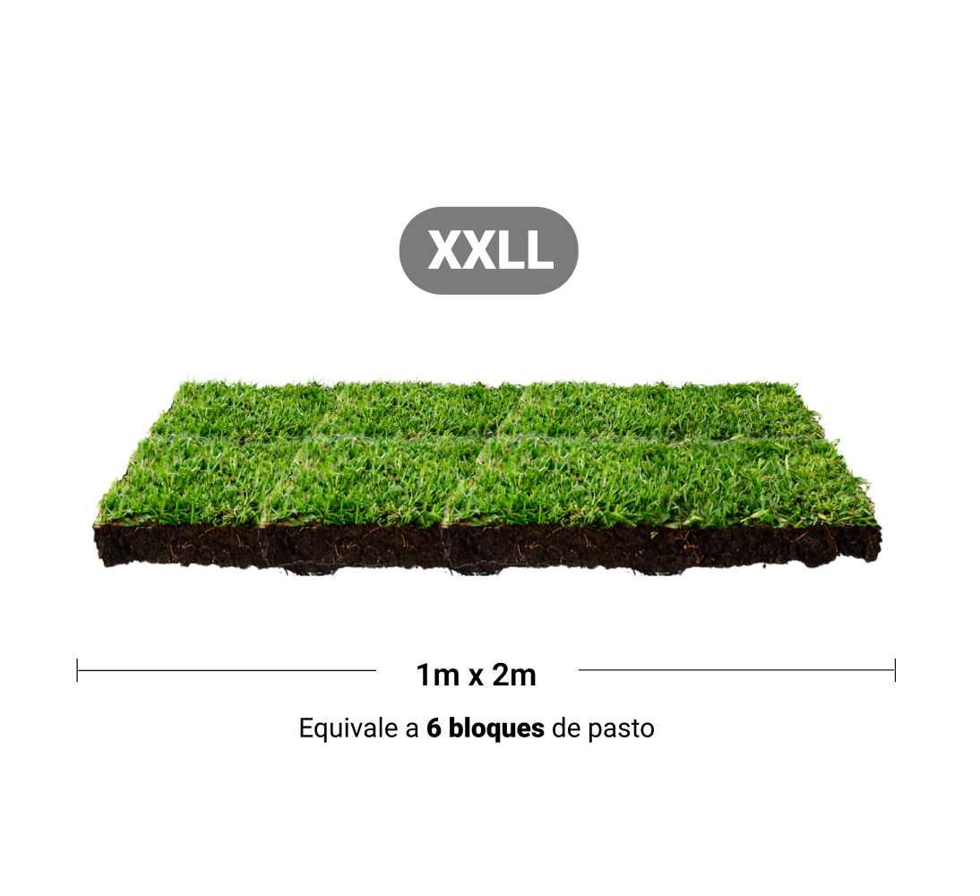 Repuesto,recambio de pasto natural para sanitarios de mascotas medidas extra grandes