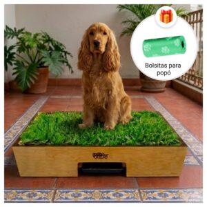 Sanitario de pasto natural con drenaje para perros grandes de Petit Garden mas bolsas de regalo para recoger la popo talla L