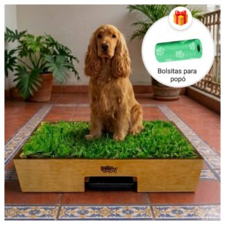 Sanitario de pasto natural con drenaje para perros grandes de Petit Garden mas bolsas de regalo para recoger la popo talla L