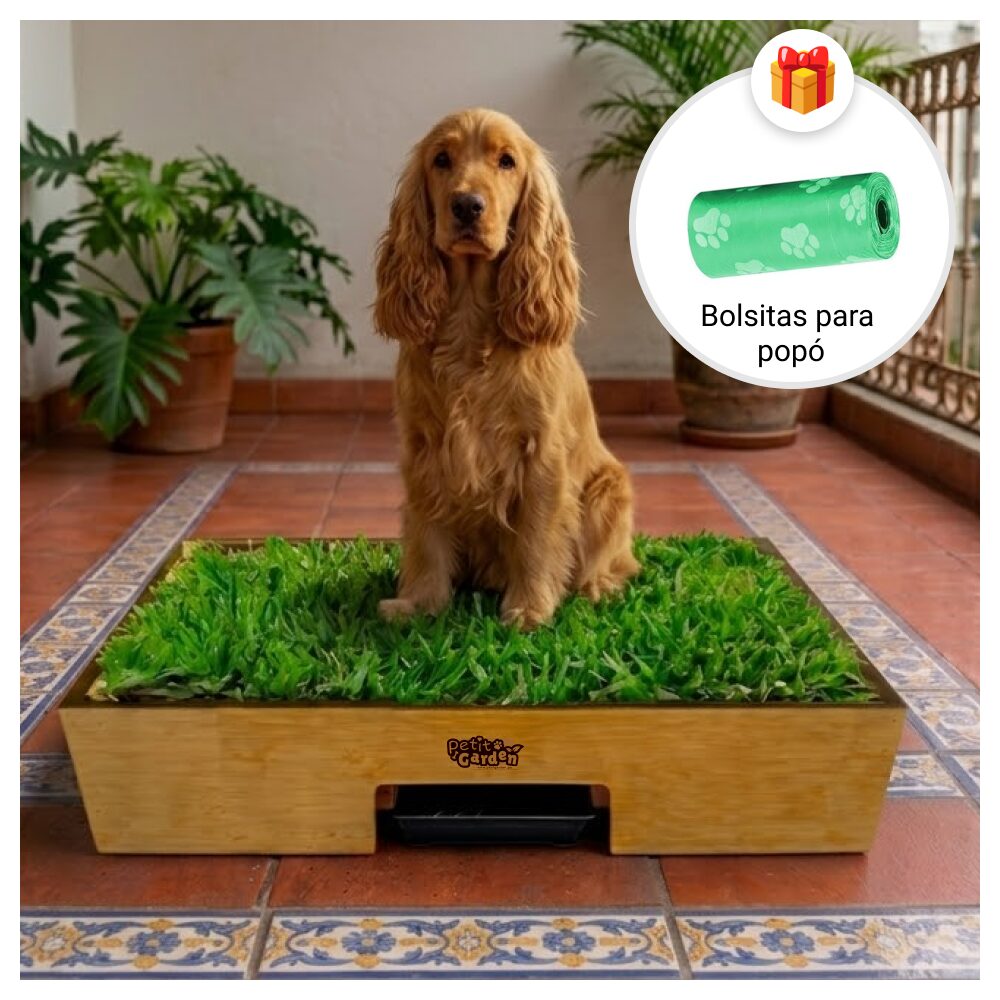 Sanitario de pasto natural con drenaje para perros grandes de Petit Garden mas bolsas de regalo para recoger la popo talla L