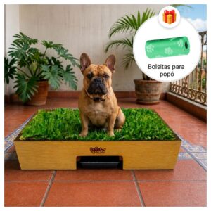 Sanitario de pasto natural con drenaje para perros grandes de Petit Garden mas bolsas de regalo para recoger la popo talla M
