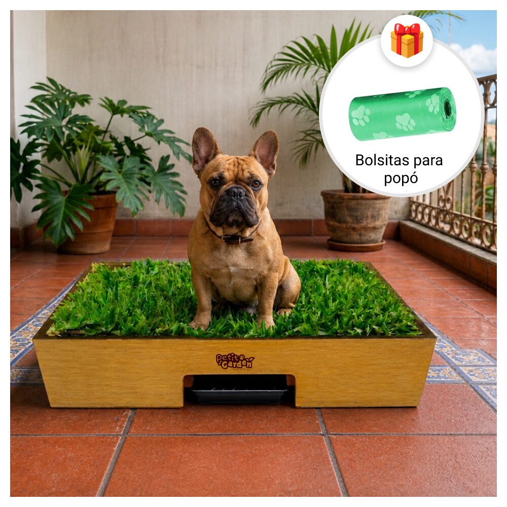 Sanitario de pasto natural con drenaje para perros grandes de Petit Garden mas bolsas de regalo para recoger la popo talla M