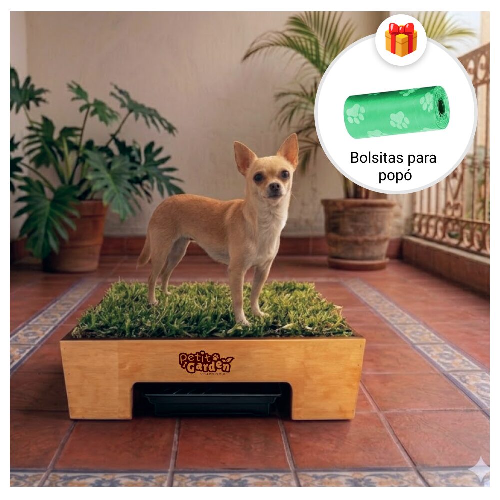 Sanitario de pasto natural con drenaje para perros grandes de Petit Garden mas bolsas de regalo para recoger la popo talla S