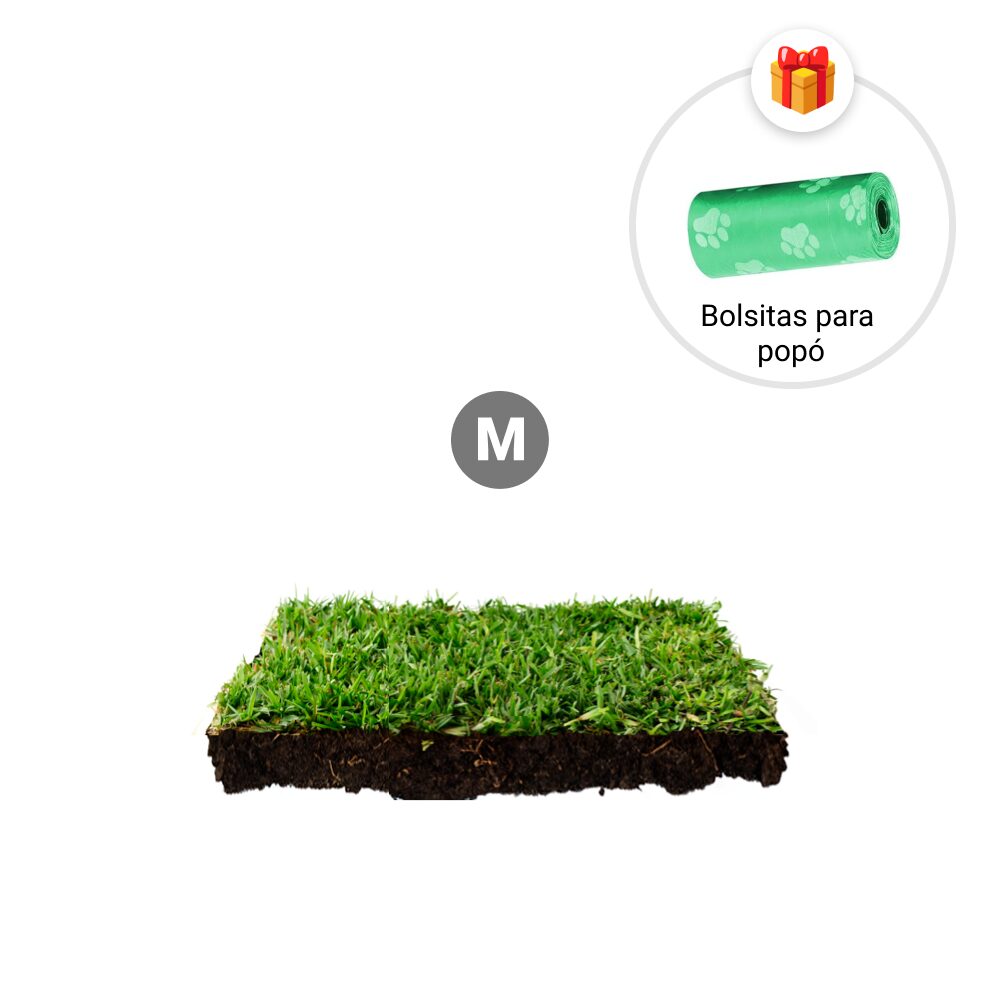 Repuesto,recambio de pasto natural para sanitarios de mascotas medidas medianas mas bolsitas para recoger popo de regalo
