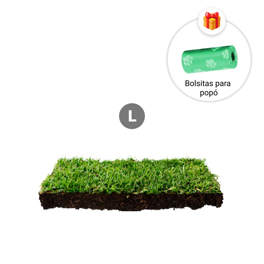 Repuesto,recambio de pasto natural para sanitarios de mascotas medidas medianas mas bolsitas para recoger popo de regalo