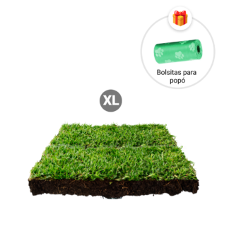 Repuesto,recambio de pasto natural para sanitarios de mascotas medidas medianas mas bolsitas para recoger popo de regalo