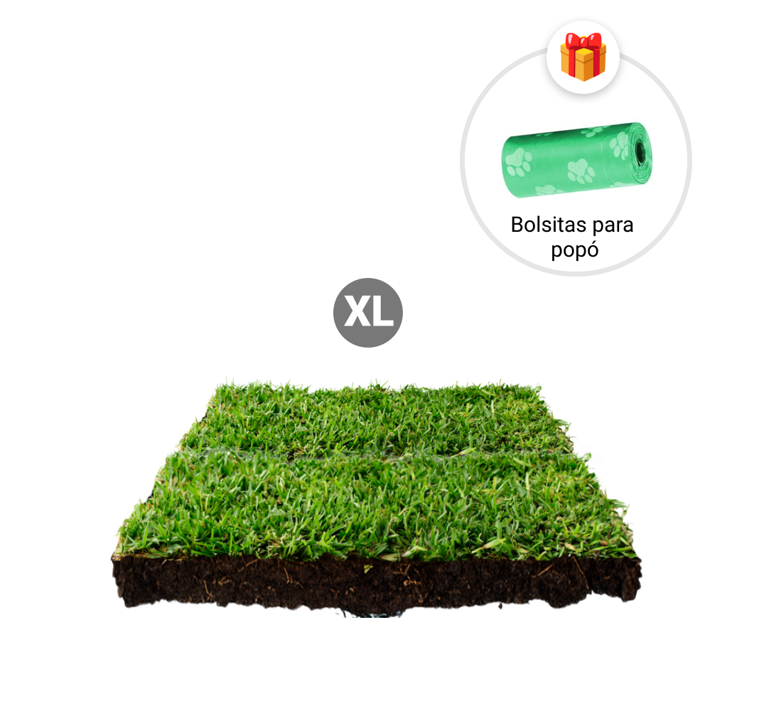 Repuesto,recambio de pasto natural para sanitarios de mascotas medidas medianas mas bolsitas para recoger popo de regalo