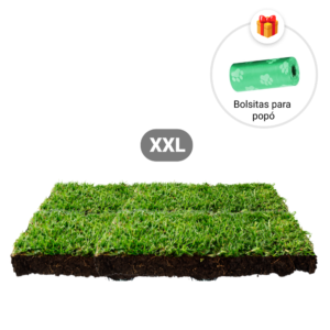 Repuesto,recambio de pasto natural para sanitarios de mascotas medidas medianas mas bolsitas para recoger popo de regalo