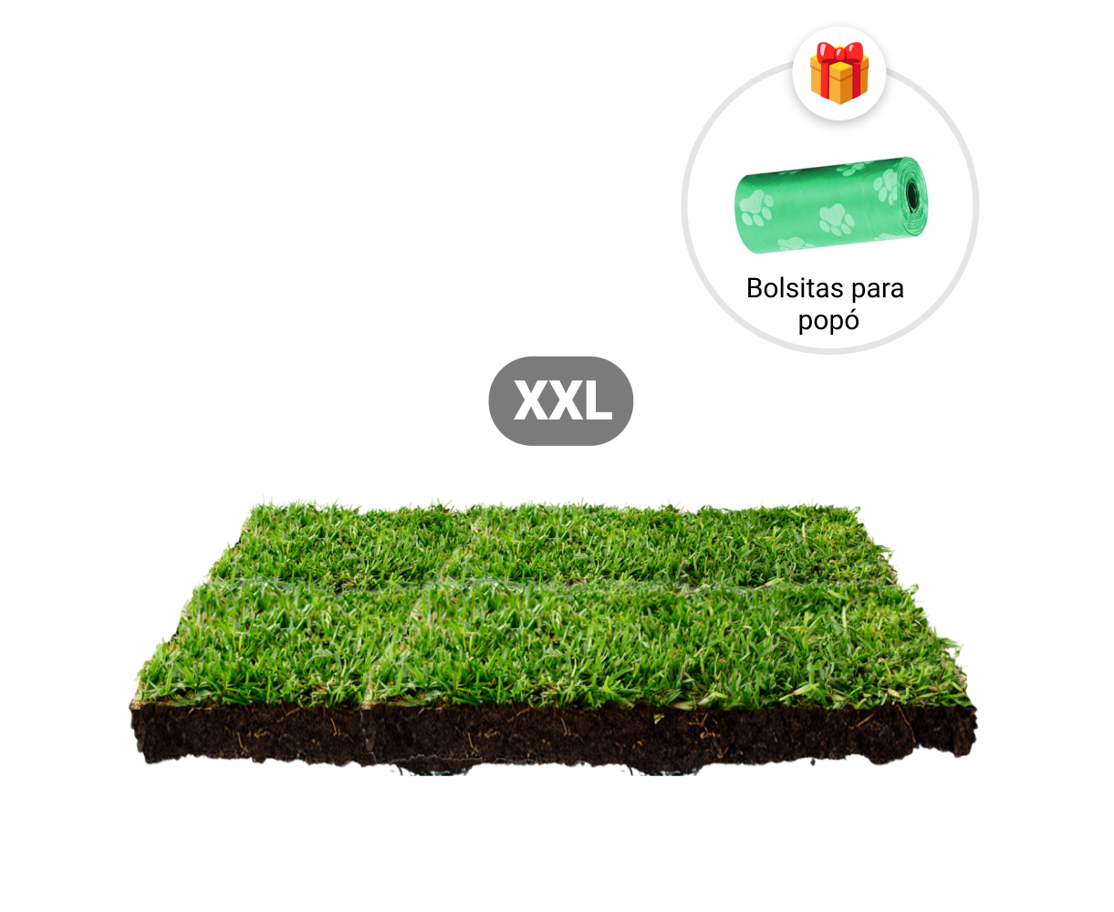Repuesto,recambio de pasto natural para sanitarios de mascotas medidas medianas mas bolsitas para recoger popo de regalo