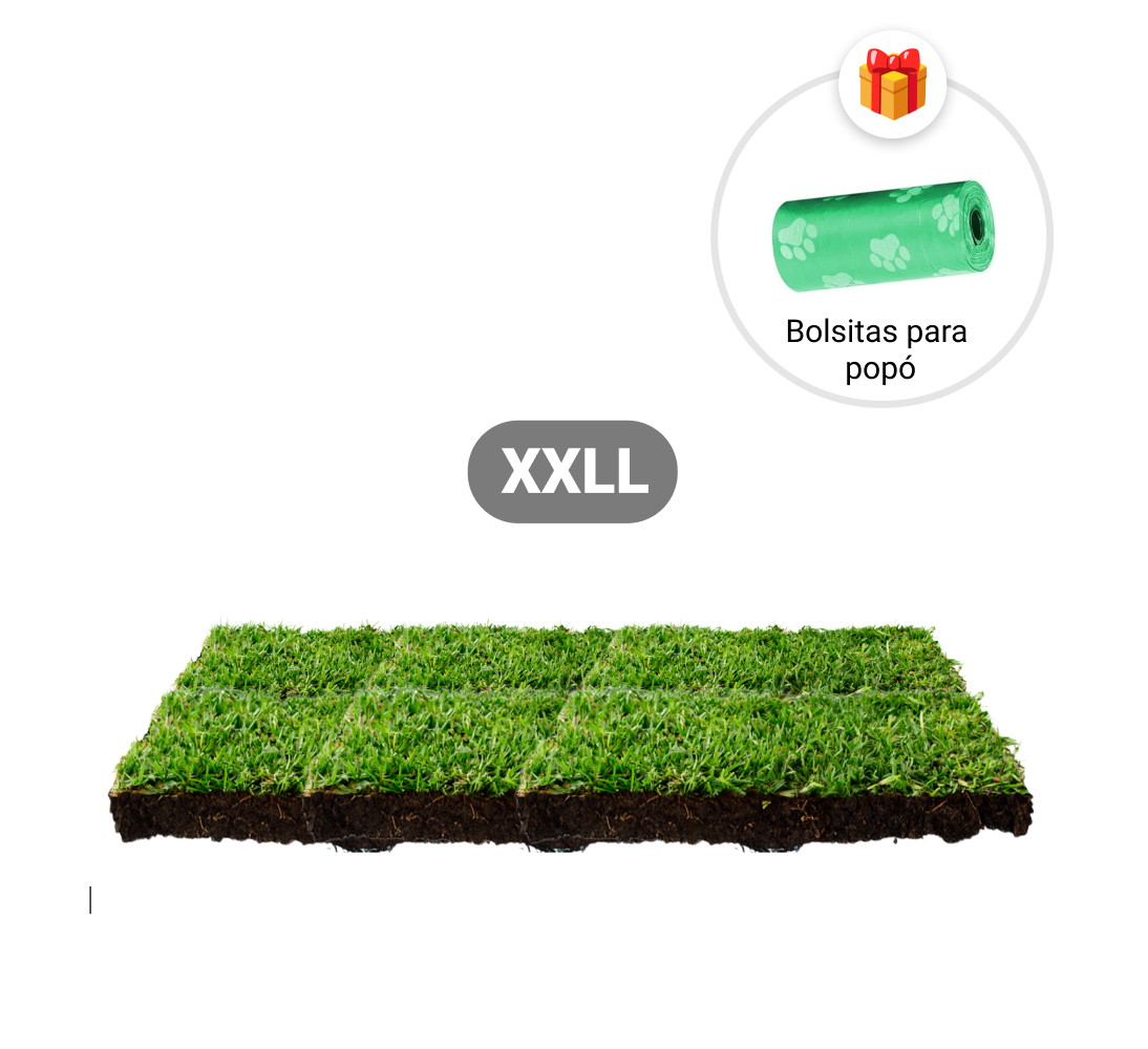 Repuesto,recambio de pasto natural para sanitarios de mascotas medidas medianas mas bolsitas para recoger popo de regalo