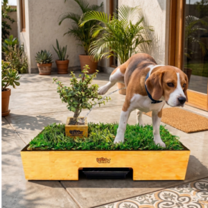 Arbolito para hacer pipi para perros