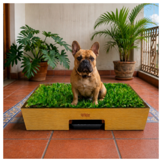 Sanitario de pasto natural con drenaje mediano de Petit Garden