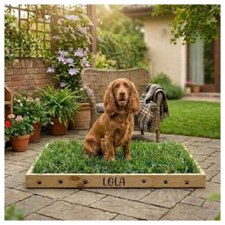 Sanitario de pasto natural con base de madera y tierra para perros medianos de Petit Garden