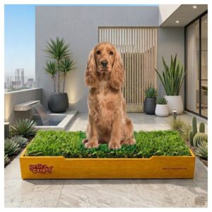 Sanitario de pasto natural con repuestos intercambiables base de cartón y tierra para perros pequeños de Petit Garden