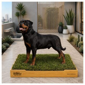 Sanitario de pasto natural con repuestos intercambiables base de cartón y tierra para perros grande de Petit Garden