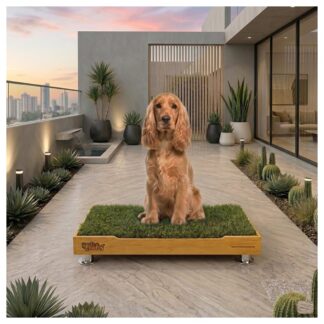 Sanitario de pasto natural con repuestos intercambiables base y tierra para perros pequeños de Petit Garden