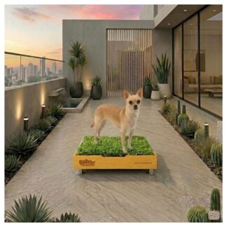 Sanitario de pasto natural con base fija de cartón y tierra para perros pequeños de Petit Garden